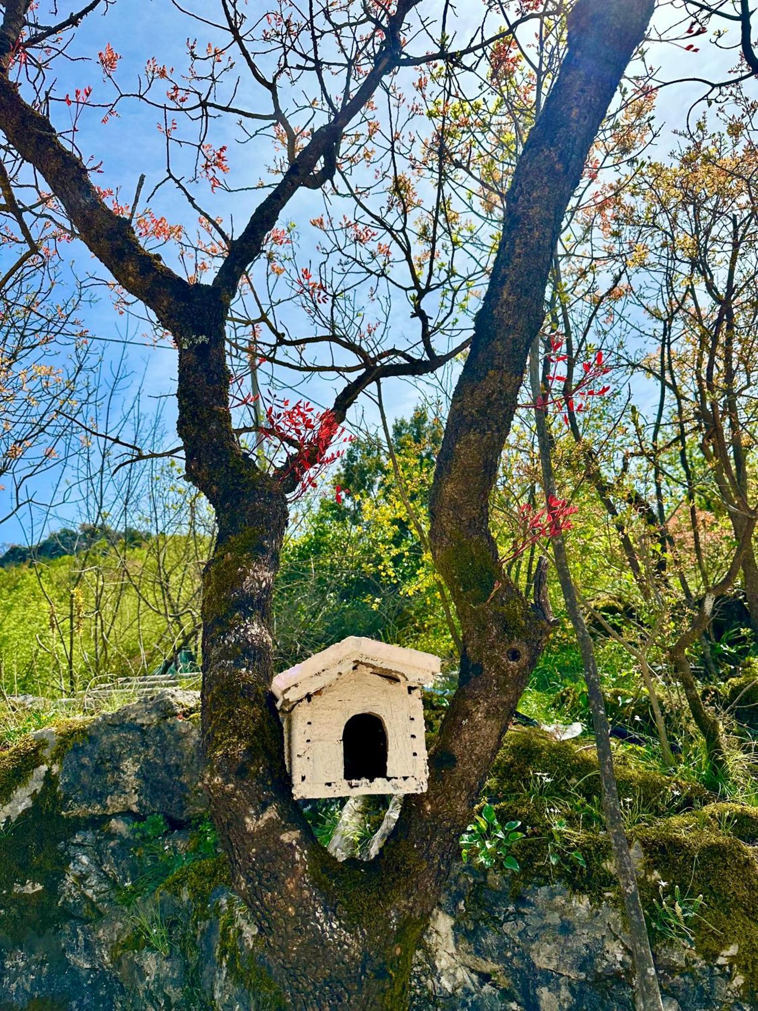 Appartement S&m *